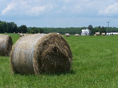 Groves Store, Somerville Post Office, farmland in Fauquier County, Virginia, image Emridou via Wikimedia Commons