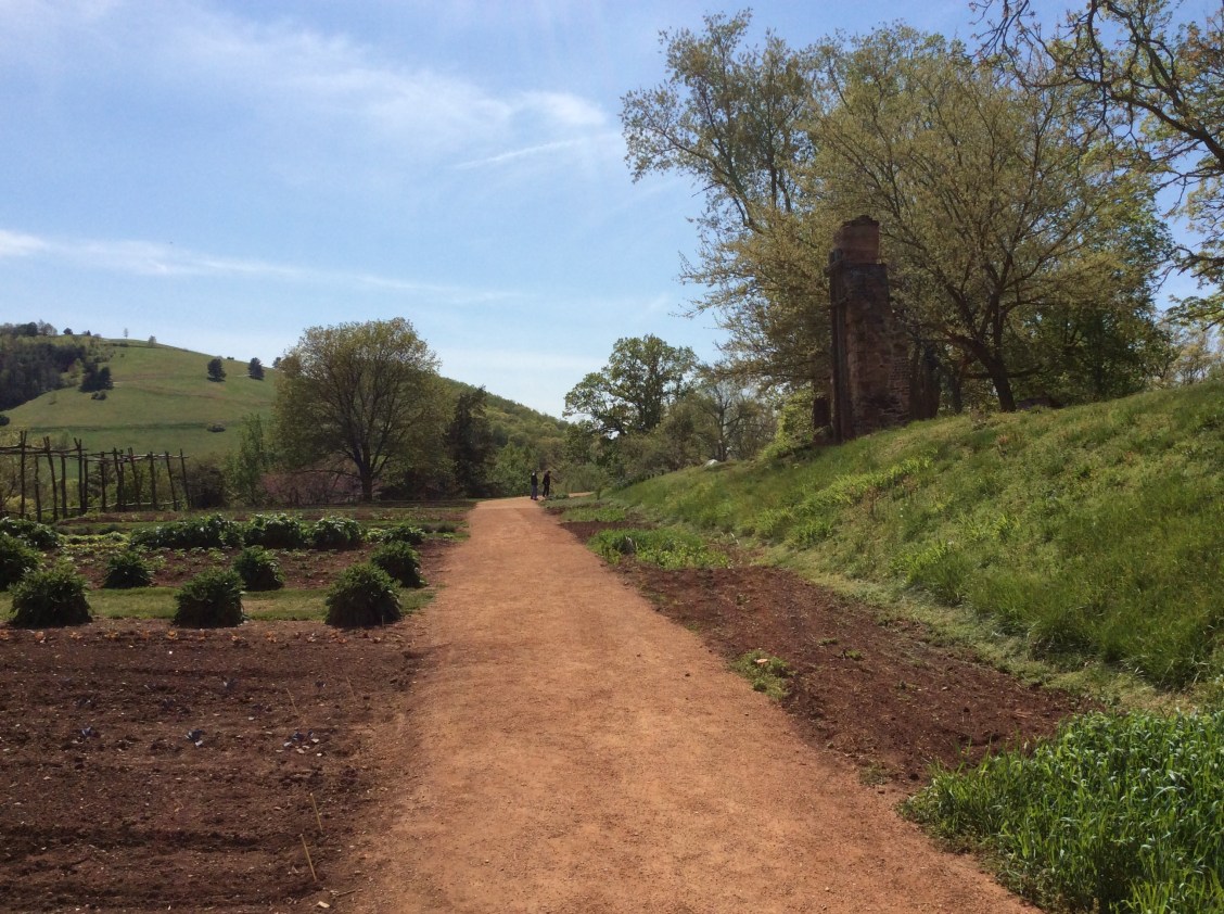 Mulberry Row path and gardens at Monticello, photo 2015 by Amy Cools