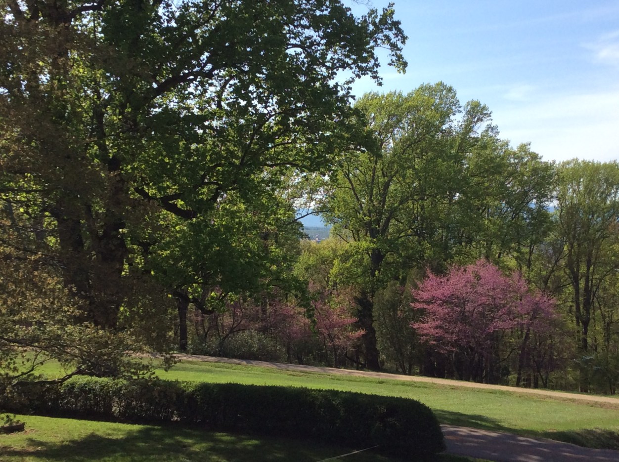 View north from Monticello's west lawn, 2015 by Amy Cools