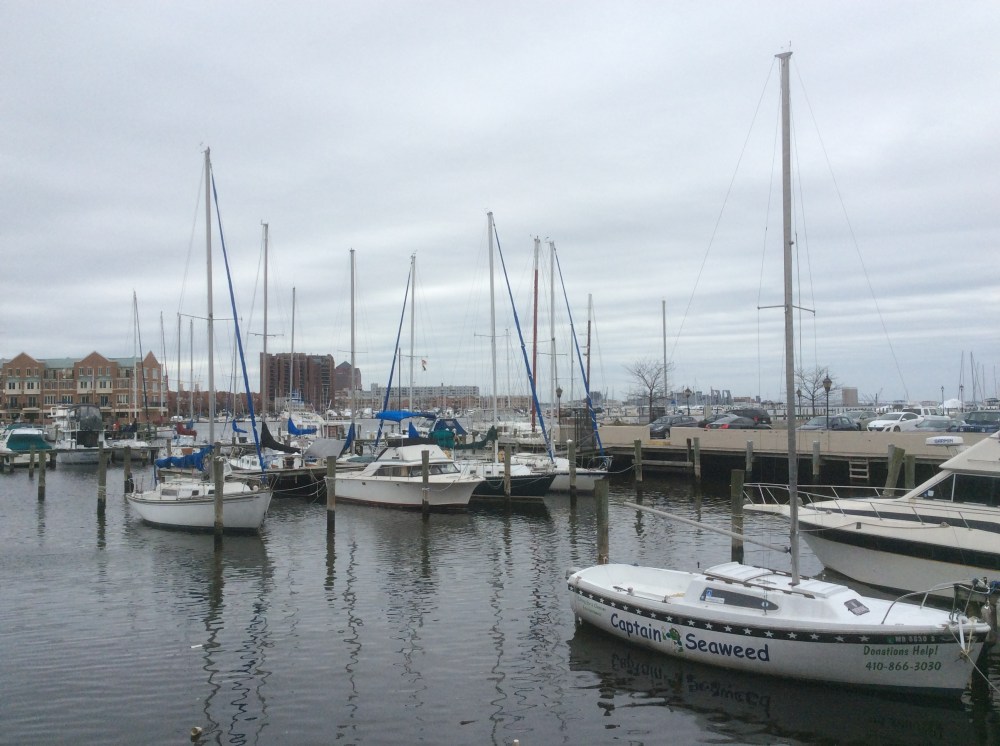 Boats docked at end of Lancaster and Thames Streets, Fell's Point, Photo 2016 Amy Cools