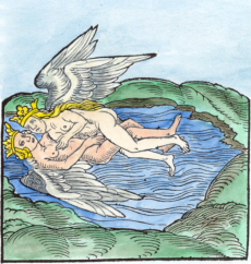 Illustration of fermentation in the Rosarium philosophorum, Frankfurt, 1550, public domain via Wikimedia Commons