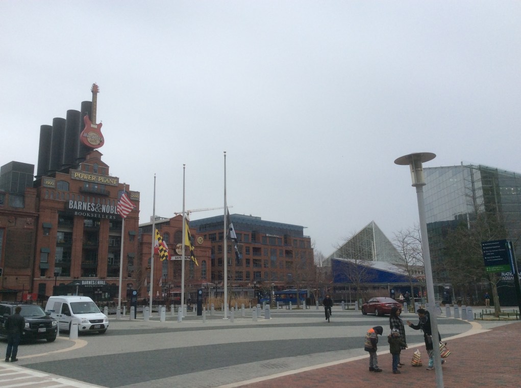 Wharf at Gay and Pratt, formerly Smith's, Inner Harbor, Baltimore MD, photo 2016 Amy Cools