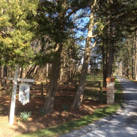A farm near what was formerly William Freeland's, St Michaels, MD