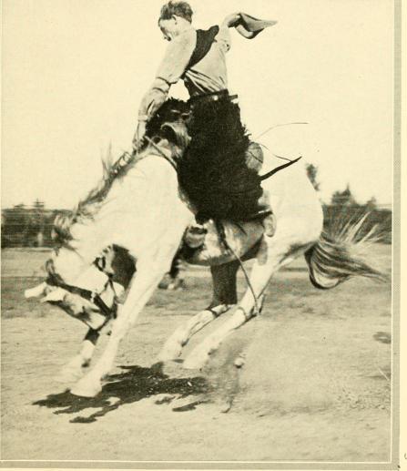 Let'er buck, 1921 by Charles Wellington Furlong, public domain via Wikimedia Commons