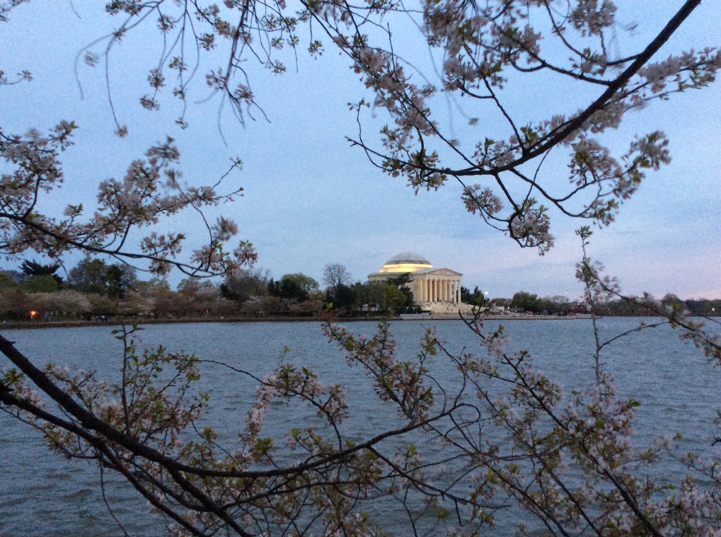 The Jefferson Memorial on the Tidal Basin among the cherry blossoms