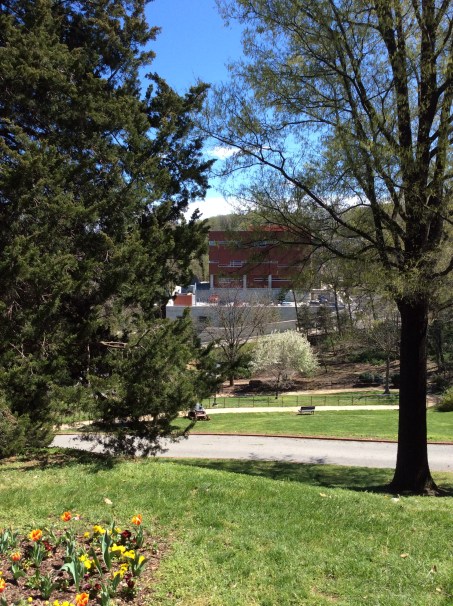 View from Cedar Hill, looking east toward the site of Hiram and niece Helen Pitts' house