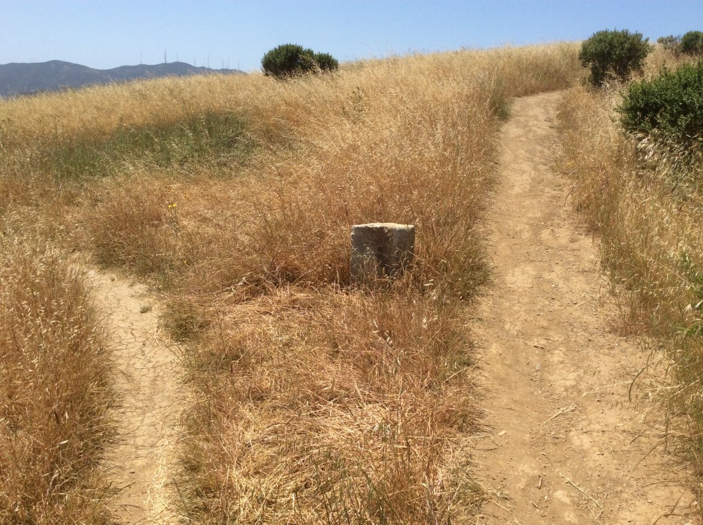 An arrow marker stone marks each fork and turnoff on Philosopher's Way