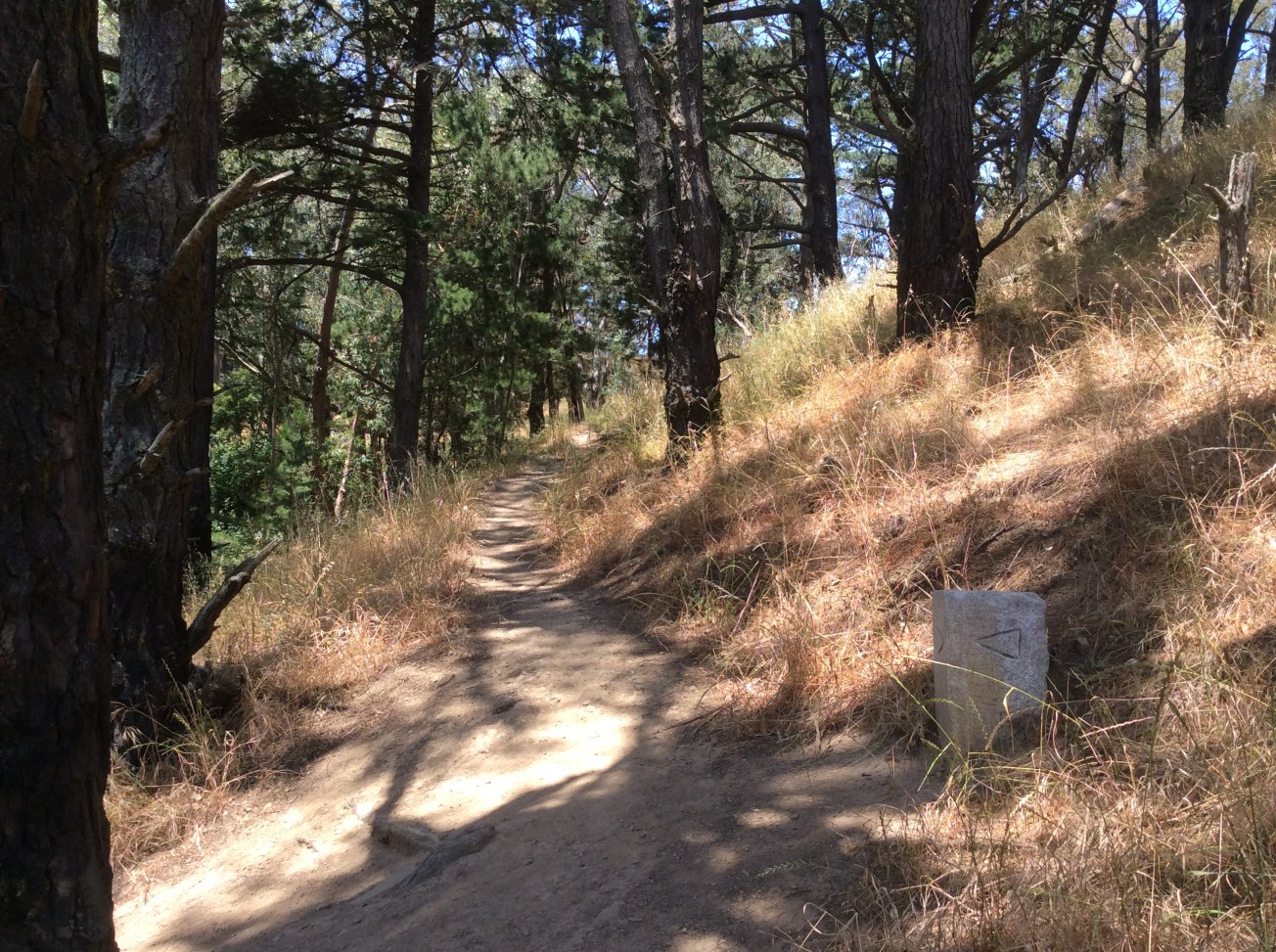 Turn in the shady path. Note the helpfully arrowed stone marker.