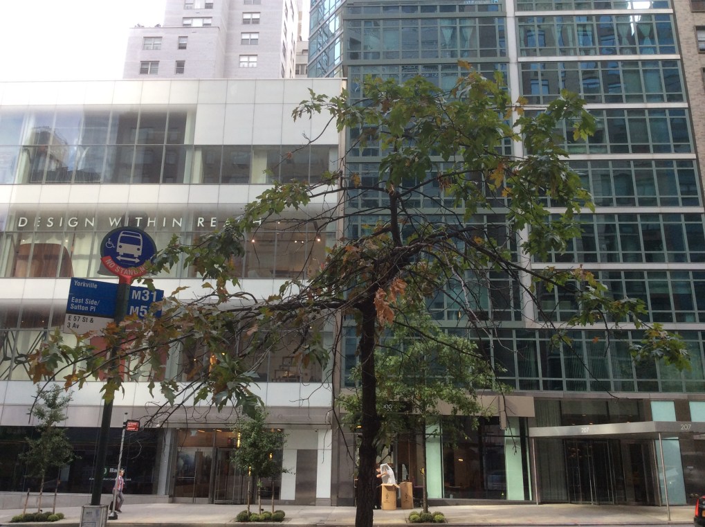 201 and 207 E 57th St, Manhattan NYC, former site of Bandbox Theater, 2016 Amy Cools