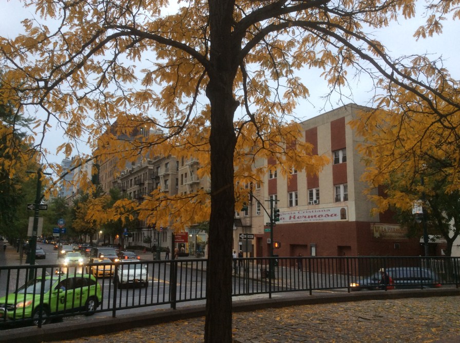 110th at 5th Ave, NW corner of intersection at Duke Ellington Circle. The Parview Palace likely stood where the Hermosa is. 2016 Amy Cools