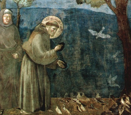 St Francis of Assisi by Giotto