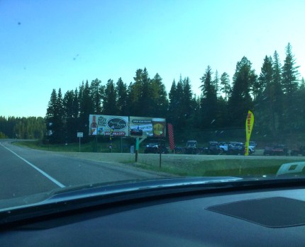 Billboards off the highway through the Black Hills, 2017 Amy Cools