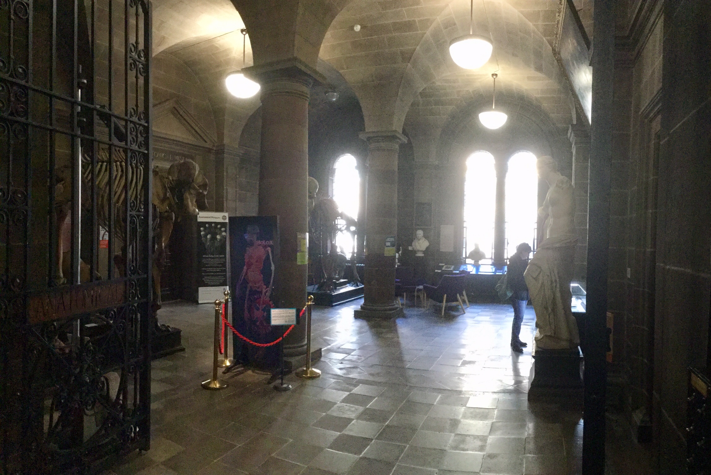 Downstairs foyer of the Anatomical Museum, Old Medical School, University of Edinburgh, 2018 Amy Cools