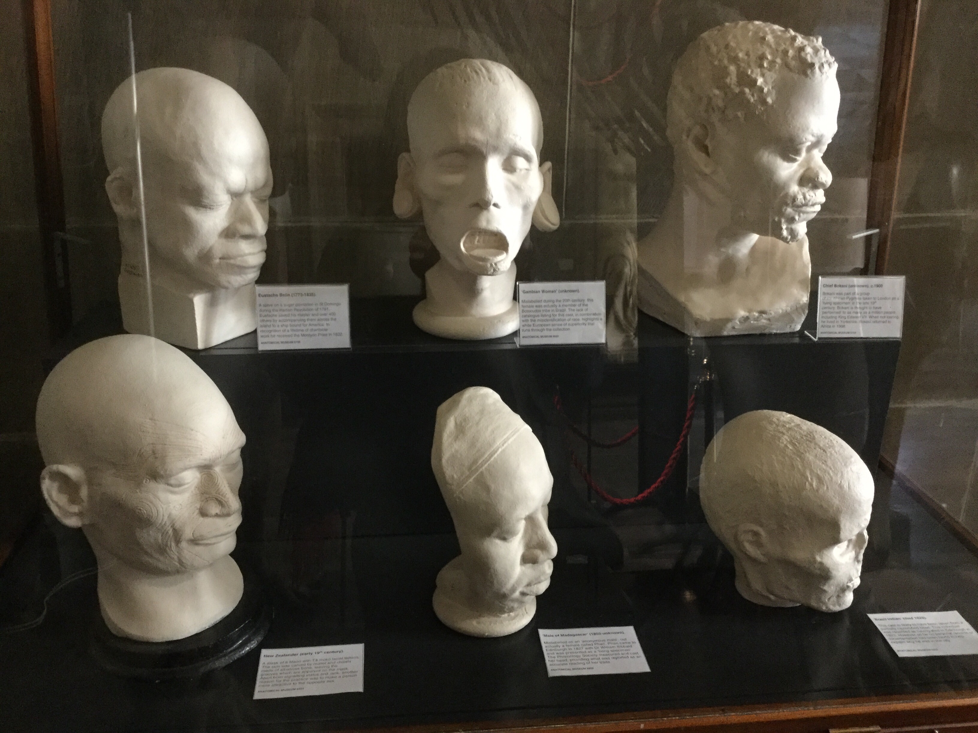 A collection of life masks from men and women of the world, Anatomical Museum collection, Old Medical School, University of Edinburgh, 2018 Amy Cools